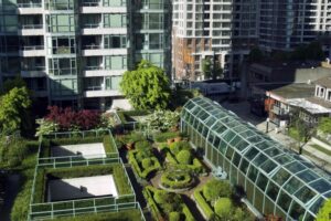 Green roofs image